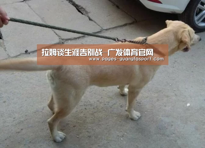 广发体育app