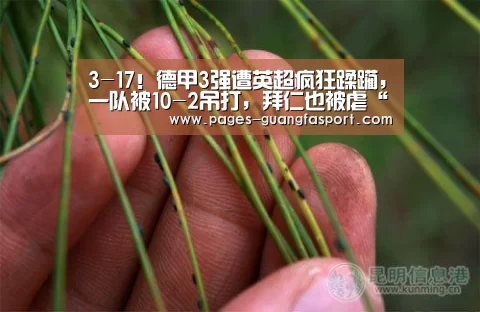 广发体育